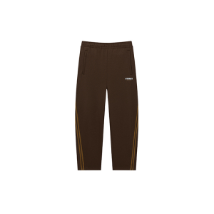 361° Вязаные спортивные штаны мужские Chestnut Umber Moderate Straight Fit