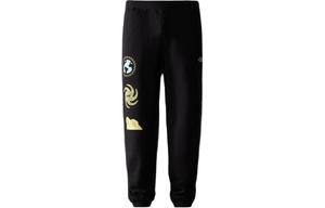 THE NORTH FACE Мужские повседневные брюки, цвет Black