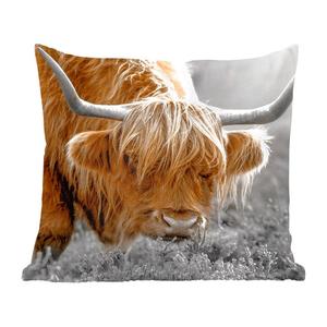 MuchoWow Декоративная подушка Диванная подушка Декоративная подушка для гостиной 60 x 60 см Шотландский горец - Растения - Черный - Белый - Наволочка - Хлопчатобумажная ткань - Декоративные наволочки