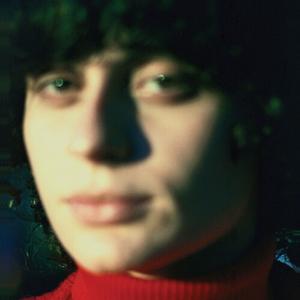 Виниловая пластинка LP Little Electric Chicken Heart [Blue Vinyl] - Ana Frango Elétrico