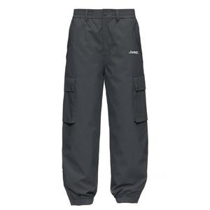 Повседневные брюки Unisex Moderate Straight Fit Jeep, stone серый-down pants