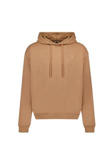 Коричневая мужская толстовка Ciesse Piumini