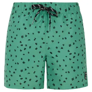 Шорты для плавания Protest Juan, зеленый