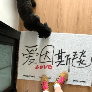 Budis Ковер 80х120 см из силиконовой петли для входной двери, не скользящий, на открытом воздухе, Trendy Fun Text Doormat Ainesi Mat