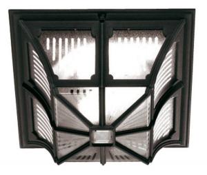 Потолочный светильник Licht-Erlebnisse FRANKIE, черный - металл - 30 x 30 x 30 см