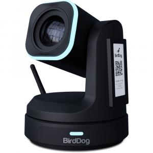 PTZ-камера BirdDog X1 PTZ Camera with 30x Optical Zoom (Black) BDX1-30B