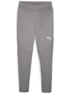 Спортивные брюки TeamFinal Training Pants серого цвета Puma