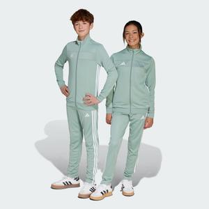 Спортивные брюки Adidas Tiro 25 Essentials Training Pants Kids, цвет Silver Green/White