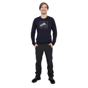 Штаны Icepeak Softshell мужские EP Argo