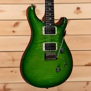 Paul Reed Smith Custom 24 - Eriza Verde с зеленым градиентным покрытием - 22 0354453