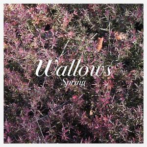 Виниловая пластинка LP Spring EP [Pink & Green Vinyl] [Explicit] - Wallows