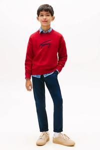 Детские хлопковые штаны Tommy Hilfiger, темно-синий