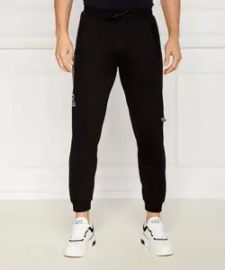 Спортивные штаны Regular fit Ea7, черный