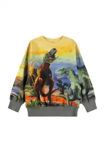 Толстовка Molo, Dino Art