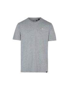 Классическая футболка O'NEILL Shirt, серый