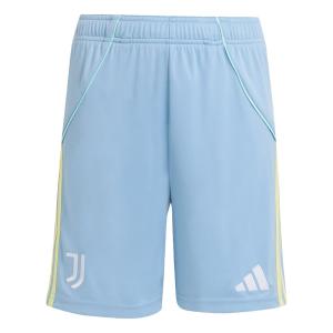 Обычные спортивные штаны ADIDAS PERFORMANCE Juventus Turin 25/26, Opal