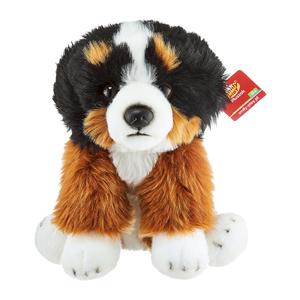 Анек для детей, талисман собаки Anek