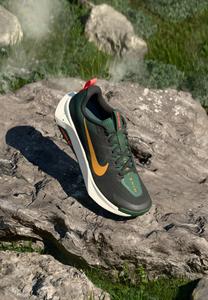 Кроссовки Nike Performance REACTX WILDHORSE 10, Black/Desert Ochre/Fir/Bright Crimson/Sail/Black