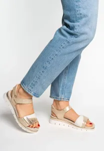 Кембриджская платформа также Ara, Sand