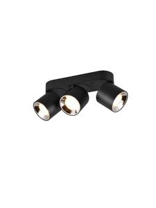 Потолочный светильник GUAYANA в матово-черном цвете Trio Leuchten