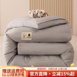 Boyang Одеяло зимнее утепленное 220х240 см, 5,5 кг, хлопок Синьцзян, цвет Galaxy Gray