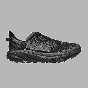 Кроссовки Speedgoat 6 GORE-TEX 'Black Outer Orbit', черный
