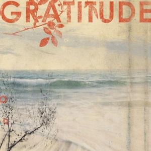 Диск CD Gratitude - Gratitude