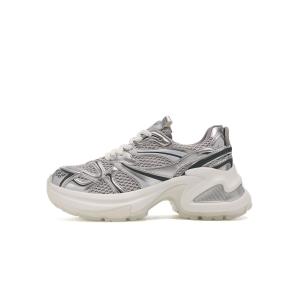 Кроссовки женские толстые низкие серебряный Eblan, серебряный