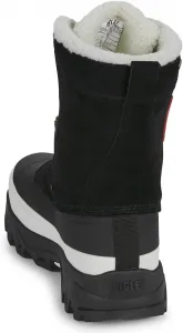 Мужские классические зимние ботинки Aigle, черный