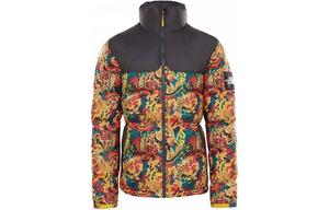 Nuptse пуховик мужской многоцветный The North Face, цвет Multicolor