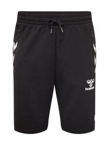 Обычные спортивные штаны Hummel Ray 2.0, черный