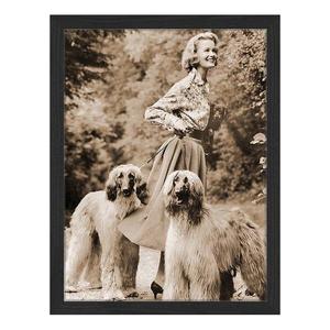 Картина Any Image With the dogs, 33x43x2,5 см