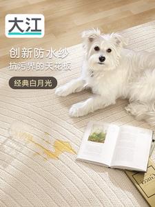 Dajiang Ковер 200x300 см для гостиной/спальни, простой дизайн, легко чистить, waterproof и non-slip