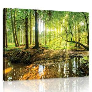 Картина на холсте Wallarena Wald Sonne Wohnzimmer, 60x40x2 см, зеленый