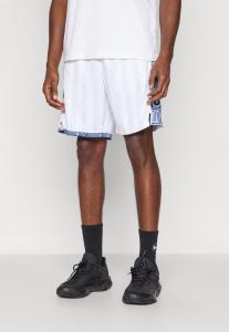 Спортивные шорты Nike Performance MEMPHIS GRIZZLIES SWINGMAN SHORT CITY EDITION 25, White/Light Blue/White