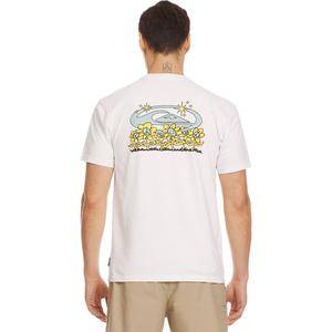 Футболка Nature magic stw Quiksilver, цвет tofu