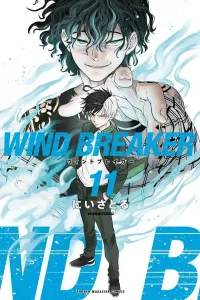 Wind Breaker (11) (Kodansha Comics)