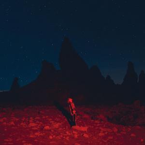 Диск CD Punisher - Phoebe Bridgers