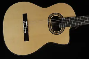 Takamine DH90 Хираде (#093)
