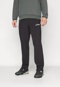 Спортивные штаны маунт-эсс Adidas Terrex, Black