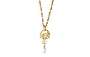 Львиное металлическое ожерелье для женщин CHANEL, золото