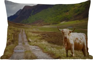 Подушка для улицы - Шотландский высокогорный скот - Тропинка - Лес - 50 x 30 см - Устойчива к погодным условиям - Подушка для отдыха - Подушка для дивана - Украшение для гостиной MuchoWow