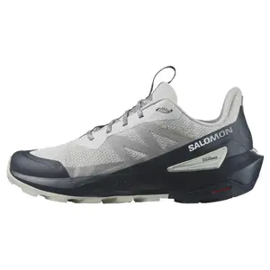 Эликсир Activ 'Glacier Grey Carbon' SALOMON, бежевый/синий