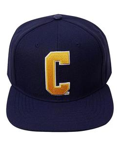 Мужская темно-синяя кепка Coppin State Eagles Evergreen C Snapback Pro Standard, синий