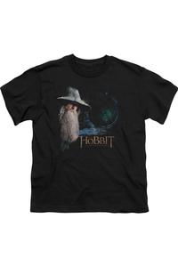 Футболка с коротким рукавом для детей "The Hobbit The Door" Gildan, черный