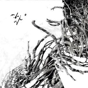 Виниловая пластинка Negura Bunget: Virstele Pamintului