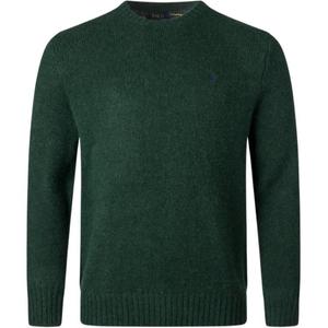 Polo Ralph Lauren Зеленый свитер Men's Green