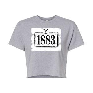 Укороченная футболка с деревянным логотипом 1883 для юниоров Licensed Character, серый