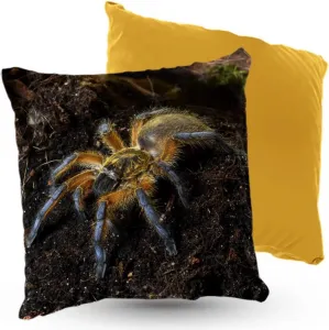 Подушка велюровая PREMIUM с рисунком паука, 40x40 см, декоративная с наполнителем, для гостиной, спальни или в подарок, 5 шт. 5made