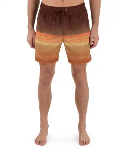 Мужские шорты для плавания Cannonball Volley Hurley, коричневый